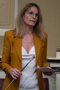 El PP pide al Gobierno que reconsidere el "elevado coste" del Plan de Transición Energética de Canarias