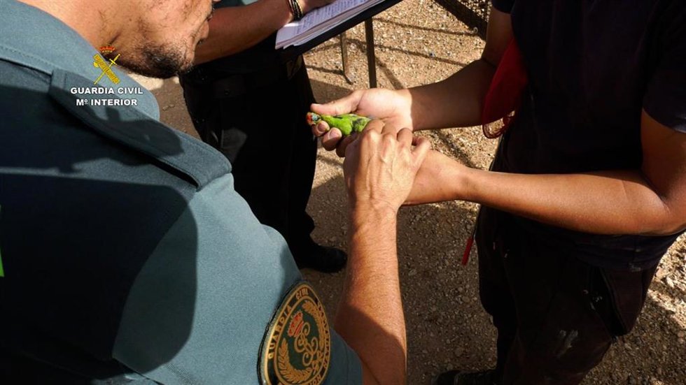 Agentes de la Guardia Civil en el criadero