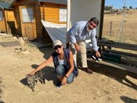 Más de 3.075 perros y gatos fueron adoptados el primer semestre en el Centro Integral de Acogida de Animales