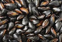 La US desarrolla un nuevo método para detectar el ibuprofeno en mejillones