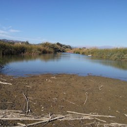 Vélez-Málaga insta a la Junta a limpiar los cauces de los ríos y arroyos del municipio