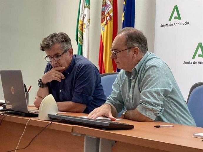 El SAE gestiona 555 anuncios y 1.113 puestos de trabajo en Huelva durante el primer semestre.