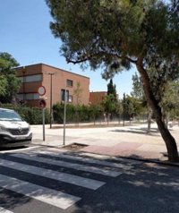 El Consistorio zaragozano eliminará casi un centenar de alcorques sin uso que entorpecen la accesibilidad