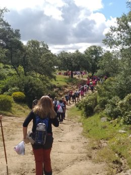 Archivo - Las Laderas-Camino Viejo de Cazalla de la Sierra.