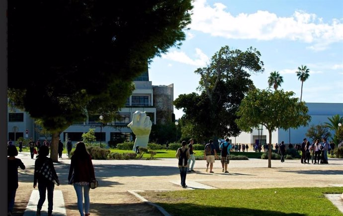 Archivo - Campus universitario 