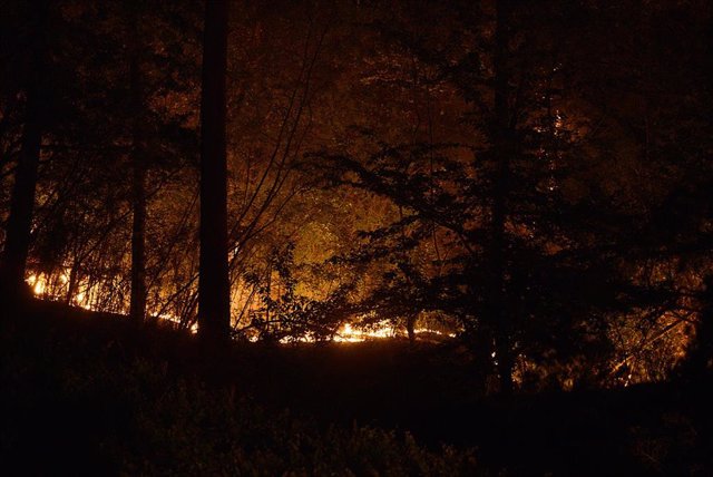 Fuego en una zona boscosa, a 28 de julio de 2022, en Castrelo de Miño, Orense, Galicia, (España). Ayer 27 de julio se declaró un nuevo incendio entre Castrelo de Miño y Cartelle. La Xunta de Galicia desactivó en torno a las cuatro de la madrugada pasada