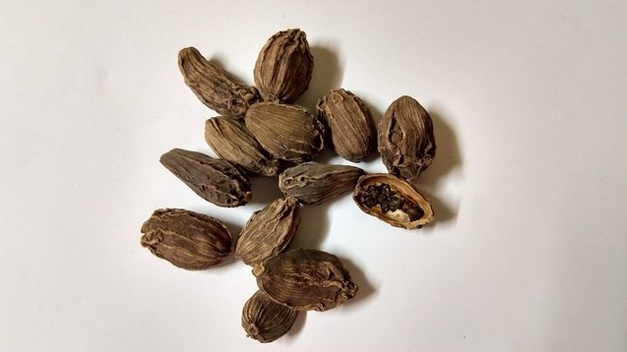 Cardamomo negro, una especia utilizada en la medicina ayurvédica india, como fuente de potentes compuestos bioactivos eficaces contra las células del cáncer de pulmón.