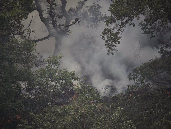 Archivo - Paisaje arrasado por el incendio del mes de junio en Olleta (archivo)