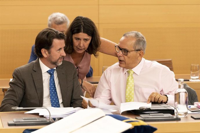 Archivo - Carlos Alonso, Blanca Pérez y Efraín Medina, consejeros del Grupo Nacionalista en el Cabildo de Tenerife