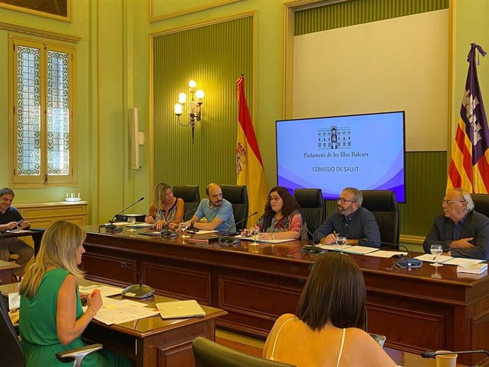 La consellera de Salud, Patricia Gómez, durante su comparecencia en comisión en el Parlament