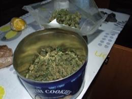 Marihuana aprehendida durante un registro en Laza, Ourense