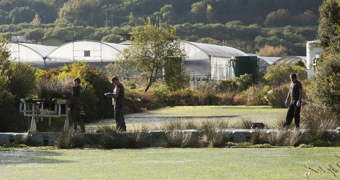 Archivo - Proyecto sobre fitodepuración de la Asociación RÍA