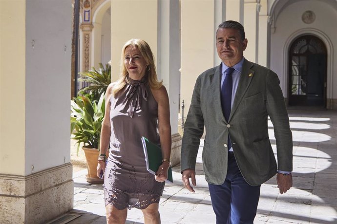 La consejera de Economía, Carolina España, y el consejero de la Presidencia, Antonio Sanz, este martes antes del inicio de la rueda de prensa del Consejo de Gobierno.