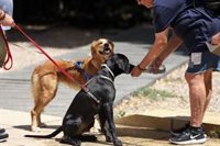 Las temperaturas alcanzan los 37.8 grados en Polientes