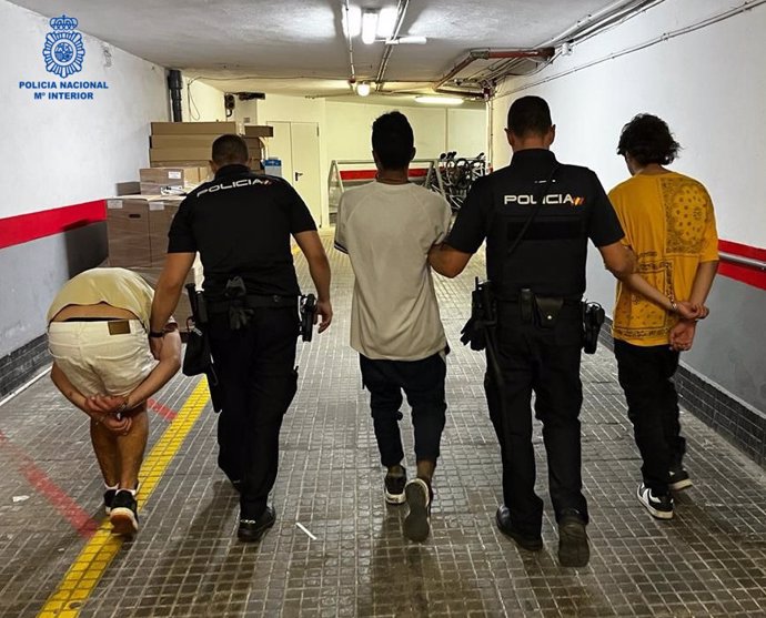 Algunos de los detenidos en la operación Verano en Palma.