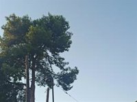 El tiempo hoy en la Comunitat: temperaturas significativamente altas en Valencia y chubascos por la tarde en el interior