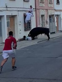 Agentes de la Policía Foral aplican un torniquete a un herido por asta de toro en el encierro de Lodosa