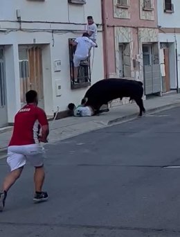 Uno de los dos corneados en el encierro de Lodosa del pasado lunes.