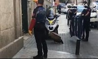 Rescatado un buitre desorientado y agotado en pleno centro de Madrid