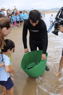 Suelta de 30 rayas al Mar Cantábrico en Gijón.