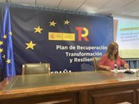 Barcones apremia a Mañueco a repartir 1.100 millones del Estado para que CyL no pierda oportunidad por falta de gestión