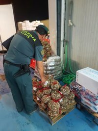 Decomisados 2.000 kilos de almejas inmaduras durante el mes de julio en Granada