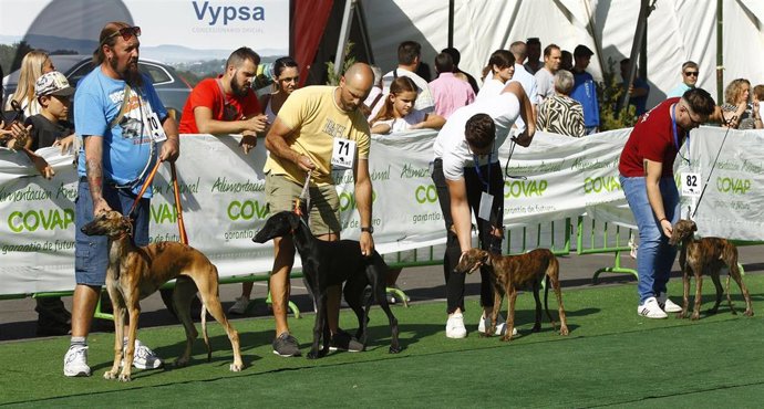 Archivo - Evento de Intercaza