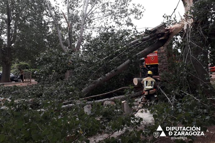 Bomberos de la DPZ retiran grandes ramas caídas en un parque de Gallocanta, tras un fuerte viento.