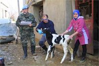 La UCO dona material veterinario a la Brigada 'Guzmán el Bueno' X en apoyo a la ganadería libanesa