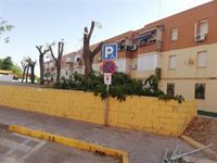 Los ecologistas de Alcalá critican las obras de la plaza de la Provincia por "podas severas" y falta de sombra