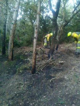 Bomberos forestales trabajan en la extinción de un pequeño incendio en Ábalos