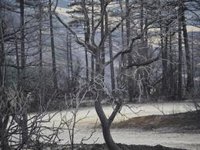 El riesgo de incendio previsto para este jueves es "extremo" en toda Navarra