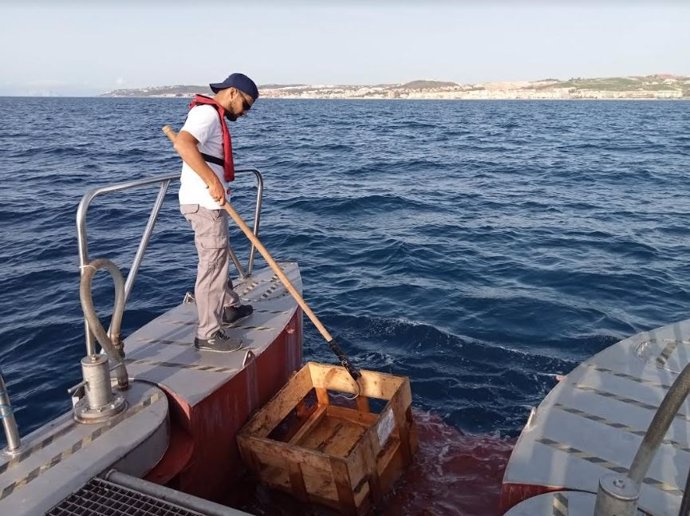 Un operario en labores de reogida de residuos en el mar