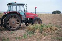 Las exportaciones agroalimentarias crecen un 11% en 2021, hasta la cifra récord de 60.118 millones