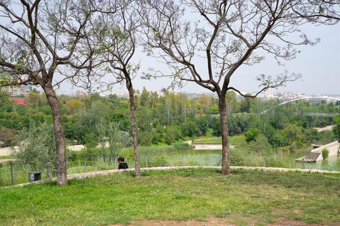 Zona verde de Valncia