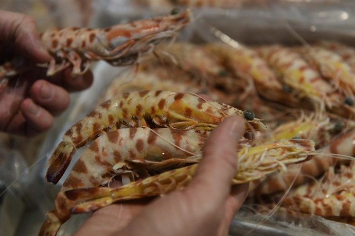 Archivo - Varias piezas de marisco en una pescadería, a 23 de diciembre de 2021, en Madrid (España). Preparar el marisco mediante cocido forma parte de la cultura gastronómica de la Navidad.