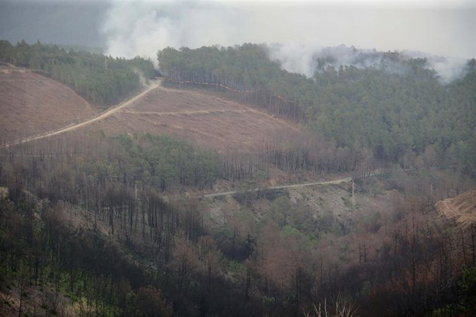 Un incendio, a 15 de julio de 2022, en Quiroga, Lugo, Galicia (España). Permanece activo desde las 20,29 horas de este jueves un incendio en la parroquia de Outeiro, que según las últimas estimaciones afecta a una superficie de 200 hectáreas. Para su co