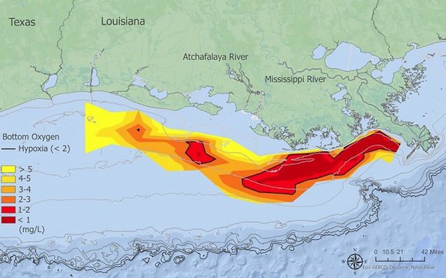 Amplitud de la zona de hipoxia en el Golfo de México