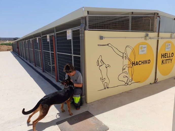 Nuevas instalaciones del refugio de animales de Paterna