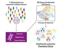 Investigadores asturianos colaboran en la culminación del mapa genómico de la leucemia linfática crónica
