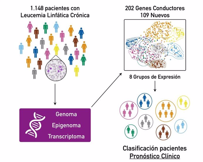 Explicación del estudio sobre el genoma de la leucemia linfática crónica.