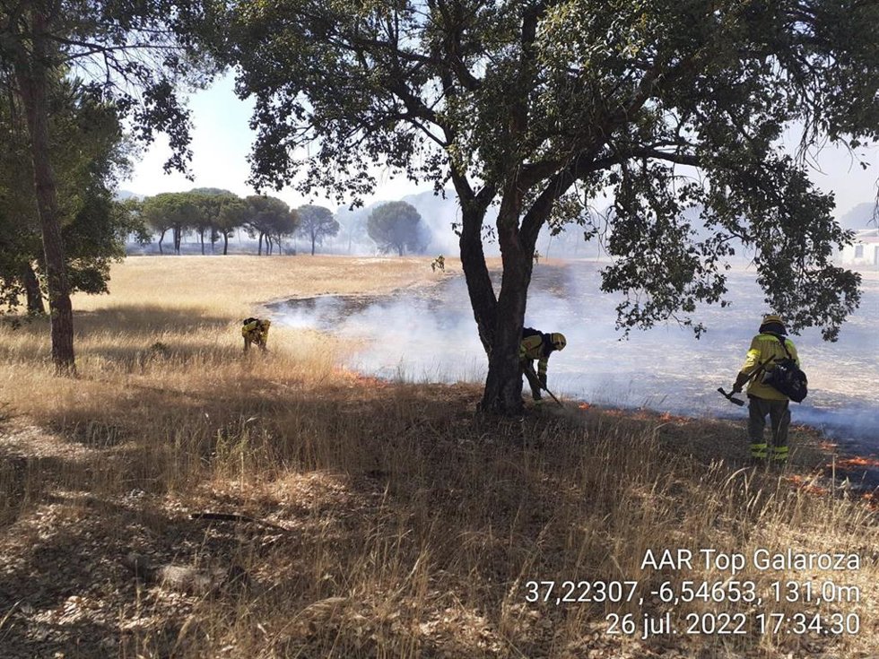 Bomberos forestales trabajan en el incendio forestal de Almonte (Huelva) del pasado mes de julio. Archivo. 