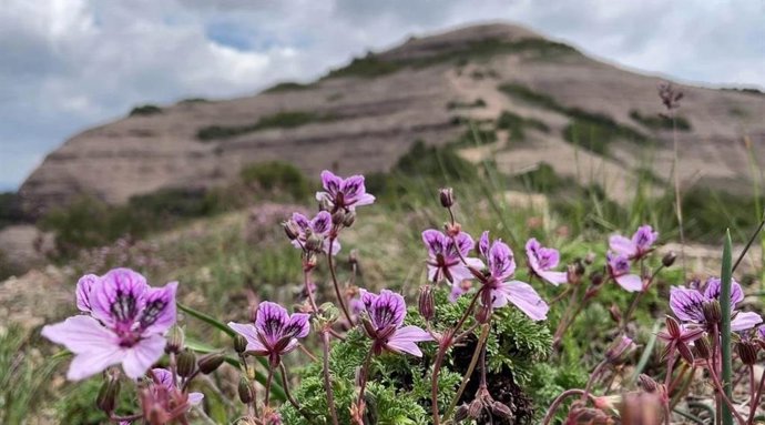Parc Natural de Sant Lloren del Munt i l'Obac.