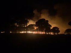 Almonte (Huelva) solicitará la declaración de zona catastrófica para el área afectada por el incendio