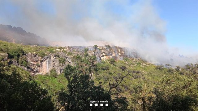 Incendio en L'Alforja (Tarragona) el 4 de agosto de 2022.