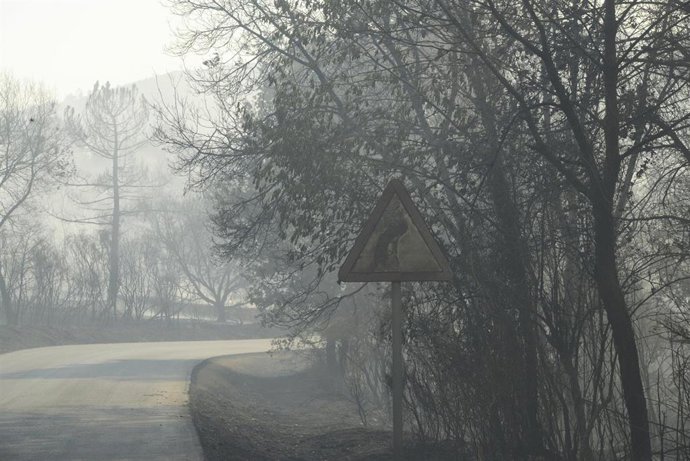 Una señal de tráfico en una de las zonas vegetales afectadas por un incendio en Verín, a 3 de agosto de 2022, en Verín, Ourense, Galicia (España). Un incendio forestal que permanece activo desde las 14,52 horas de este miércoles en Verín (Ourense) ha ob