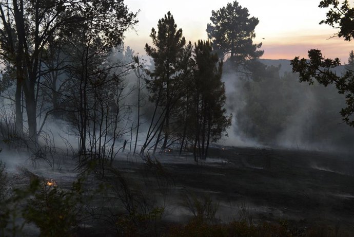 Montes e lume en Ábedes, a 3 de agosto de 2022, en Ábedes, Verín, Ourense, Galicia (España). Un incendio forestal que permanece activo desde as 14,52 horas deste mércores en Verín (Ourense) obrigou a activar a alerta por proximidade a vivendas d