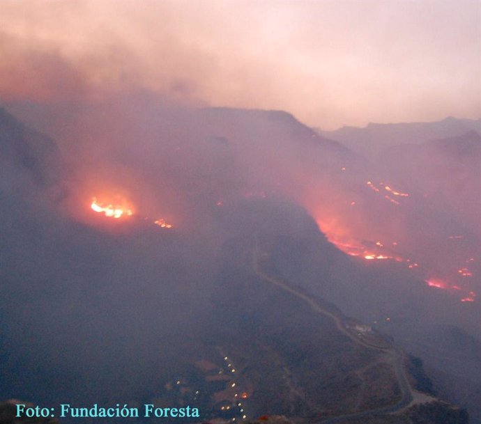 Archivo - INCENDIO FORESTAL GRAN CANARIA