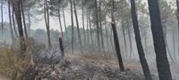 Prorrogado hasta el 9 de agosto la alerta de riesgo de incendios