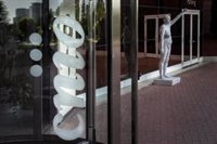 El CNIO convoca un programa de residencias artísticas para que jóvenes artistas convivan con investigadores del cáncer